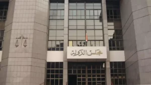 الإدارية العليا ترفض 255 طعنًا وتقرر إعادة انتخابات دائرة بالدقهلية بعد قبول طعن واحد